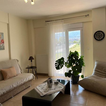 Olympian Two Floor Apartment 乐托卡亚 外观 照片
