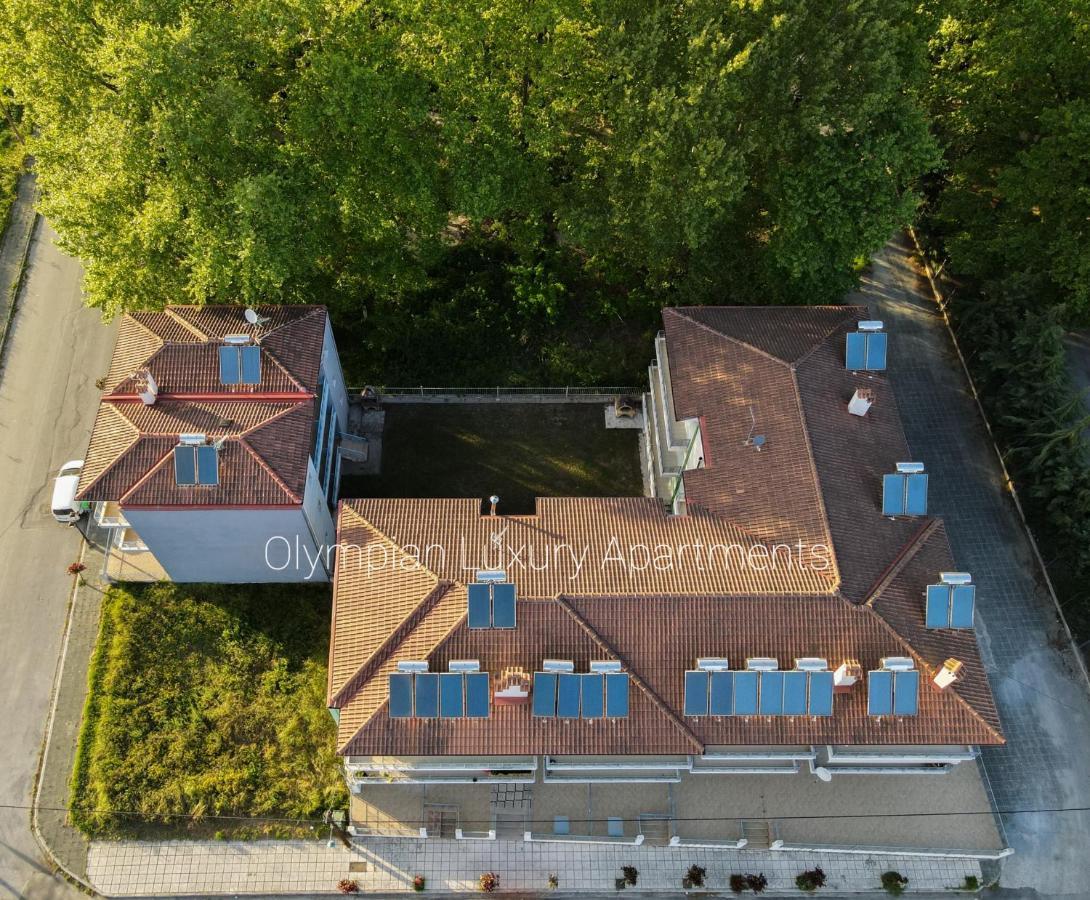 Olympian Two Floor Apartment 乐托卡亚 外观 照片