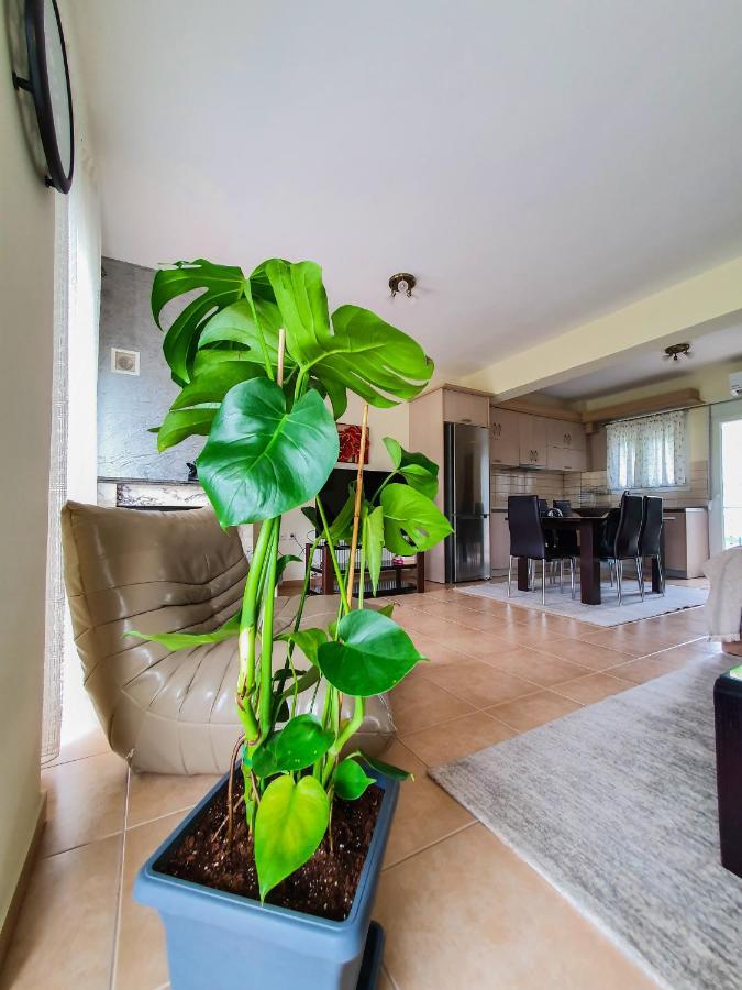 Olympian Two Floor Apartment 乐托卡亚 外观 照片