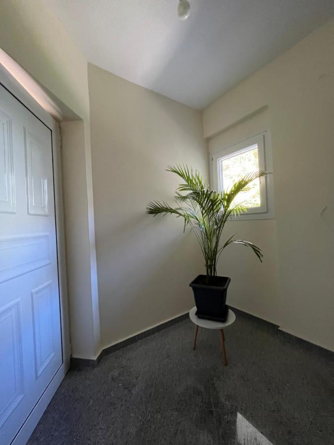 Olympian Two Floor Apartment 乐托卡亚 外观 照片